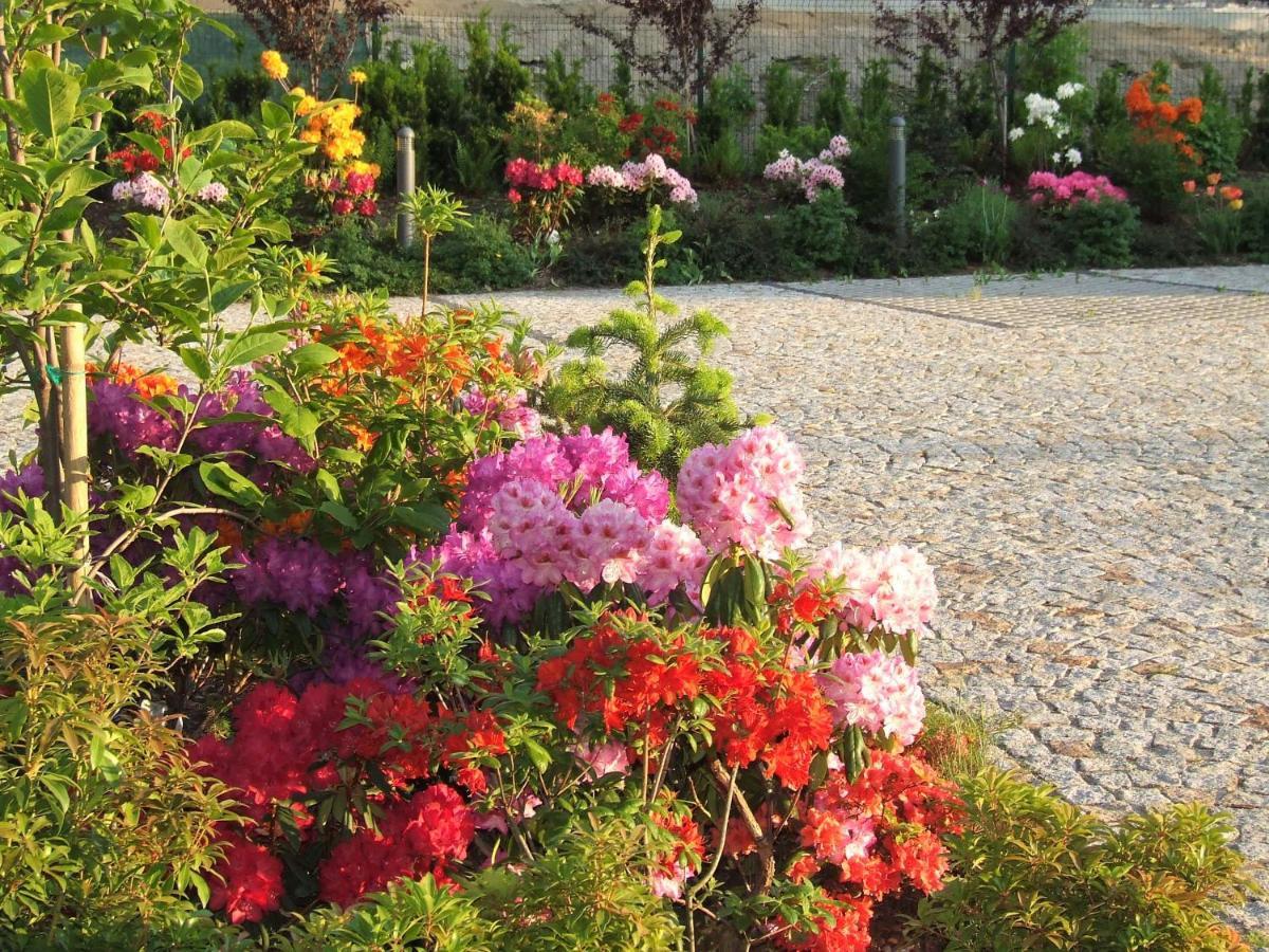 Karkonoskie Namaste Homestay *